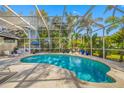 Inviting screened-in pool area with lush landscaping offering a private backyard oasis at 5501 E Longboat Blvd, Tampa, FL 33615
