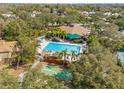 Aerial view of a community pool area with a large pool, seating, palm trees and a recreation center at 1007 Lake Avoca Dr, Tarpon Springs, FL 34689