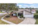 Charming single-story home with a well-manicured lawn and a large driveway at 11308 Pocket Brook Dr, Tampa, FL 33635