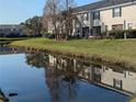 Townhouse backyard view showcasing the serene lake with lush green lawn and reflections at 12287 Country White Cir, Tampa, FL 33635