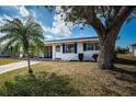 Charming single-story home boasts a well-maintained front yard with mature trees and vibrant blue shutters at 10022 Lily N St # N, Pinellas Park, FL 33782