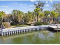 Waterfront backyard featuring lush tropical landscaping, concrete seawall, and dock on a sunny day at 4811 Paradise S Way, St Petersburg, FL 33705