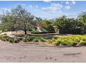 Well-maintained lawn and manicured shrubs in front of home with mature trees providing shade at 4811 Paradise S Way, St Petersburg, FL 33705