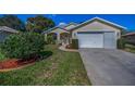 Charming single-Gathering home featuring a manicured lawn and a two-car garage at 11427 Turtle Dove Pl, New Port Richey, FL 34654