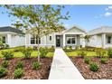 Inviting single-story home featuring a walkway, lush landscaping, and verdant grass at 28784 Rambutan Dr, Wesley Chapel, FL 33543