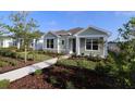 Charming single-story home with a landscaped front yard and a welcoming walkway to the front door at 28784 Rambutan Dr, Wesley Chapel, FL 33543