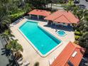 Aerial view of a sparkling community pool with a spa, shaded seating areas, and tiled roof cabana at 1003 Hammock Pine Blvd # 1003, Clearwater, FL 33761