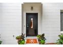 Modern front door with a window, enhanced by decorative plants and doormat at 337 4Th S Ave, St Petersburg, FL 33701