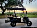 Yamaha Golf Cart parked on concrete near a body of water at sunset at 7580 Pool Compass Loop, Wesley Chapel, FL 33545