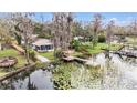 Beautiful backyard featuring lush landscaping, a dock, a charming pond and mature trees at 8922 Donna Lu Dr, Odessa, FL 33556