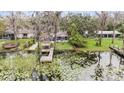 Backyard view with a dock overlooking a lush pond filled with water lilies and mature trees at 8922 Donna Lu Dr, Odessa, FL 33556