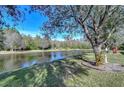 Scenic view of a tranquil pond surrounded by lush greenery and mature trees at 31841 Larkenheath Dr, Wesley Chapel, FL 33543