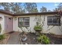 Inviting front entrance showcases a stylish door, decorative plants, and a welcoming walkway at 6524 Coronet Dr, New Port Richey, FL 34655