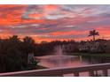 Scenic sunset view over the lake and fountain with palm trees and residences in the background at 18 Franklin S Ct # D, St Petersburg, FL 33711