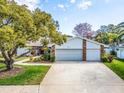 A well-maintained single-Gathering home with a large tree, lush green lawn, and a two-car garage at 2893 Turtle Ter, Palm Harbor, FL 34683
