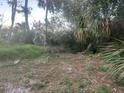 This back yard provides a spacious blank canvas in need of clearing and landscaping at 926 E 120Th Ave, Tampa, FL 33612