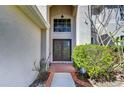Elegant home entrance with decorative glass doors and a transom window at 18126 Kara Ct, Tampa, FL 33647
