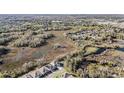 An aerial view of a neighborhood and the property's proximity to a natural preserve, offering serene views at 22990 Scaglione Dr, Lutz, FL 33549
