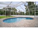 A sparkling screened-in pool area is surrounded by trees with brick pavers and a white fence at 11505 Heron Hills Ln, Riverview, FL 33569