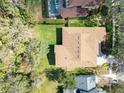 Aerial view of the house showing the roof, backyard, and the lush surrounding greenery at 15944 Ternglade Dr, Lithia, FL 33547