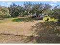 Expansive fenced-in backyard with mature trees and lush greenery, offering plenty of space at 8408 Bob Wiggs Ave, Lithia, FL 33547