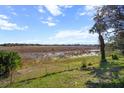Expansive backyard with view of marsh, offering privacy and natural beauty at 1472 Ivydale Rd, Spring Hill, FL 34606