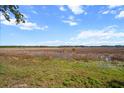 Expansive marsh view creating a serene and natural backdrop at 1472 Ivydale Rd, Spring Hill, FL 34606
