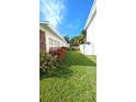 Neat side yard with healthy plants enhancing the property's appeal at 602 Danube Ave, Tampa, FL 33606