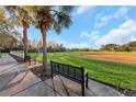 Wide open community ball field with green grass, sidewalk, benches and palm trees in the background at 3622 Wiregrass Rd, New Port Richey, FL 34655