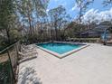 Sparkling community pool with ample seating surrounded by lush greenery and a secure fence at 375 Woods Landing Trl, Oldsmar, FL 34677