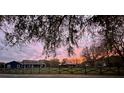 A sprawling ranch home and separate building, framed by bare tree branches and a fence, all basked in a warm, pink sunset at 10946 Gun Dog Way, Lithia, FL 33547