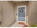 Charming blue front door with wreath, textured wall, and accent mat at 21181 Threadfin Way, Land O Lakes, FL 34638