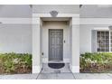 A welcoming gray front door with modern details and manicured shrubbery at 4049 Dolphin Dr, Tampa, FL 33617