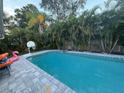 A refreshing backyard pool featuring a basketball hoop, flamingo float, and tropical foliage at 4912 W Dryad St, Tampa, FL 33629