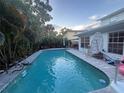 Backyard pool featuring a basketball hoop and tropical foliage, perfect for relaxation at 4912 W Dryad St, Tampa, FL 33629