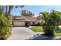 Single Gathering home with attached garage, a long driveway, mature palm trees, and lush landscaping at 2725 Onizuka Ct, Palm Harbor, FL 34683