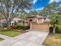 Beautiful view of home with mature trees, manicured lawn, and neutral paint at 11811 Derbyshire Dr, Tampa, FL 33626