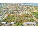 Aerial view of the wooded lot showcasing the property's lush landscape and privacy at 13450 Wilcox Rd, Largo, FL 33774