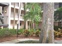Exterior building courtyard featuring trees, lamp post, bushes and a walkway at 3399 Mermoor Dr # 110, Palm Harbor, FL 34685