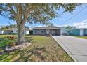 View of a cozy home with a well-manicured lawn and mature tree providing shade at 1520 S Richard Ave, Tampa, FL 33629