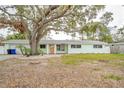 Inviting single-story home with a well-manicured lawn and mature trees at 1817 Santa Barbara Dr, Dunedin, FL 34698