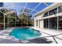 Sparkling in-ground pool inside of a screened enclosure, with a white patio area perfect for entertaining at 10614 Chambers Dr, Tampa, FL 33626