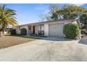 Well-maintained single Gathering home with a concrete driveway, manicured bushes, and attached garage at 6840 Mesa Verde St, Port Richey, FL 34668