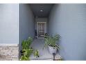 Inviting entryway with plants leading to the front door, creating a warm and welcoming first impression at 2375 Harris Hawk Ave, Ruskin, FL 33570