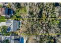 Aerial view showcasing the property line of the backyard, with lush greenery and surrounding trees at 4308 Grainary Ave, Tampa, FL 33624