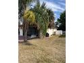 Spacious backyard surrounded by mature palm trees, with a metal bench, and a white fence at 8630 Winter Haven Dr, Hudson, FL 34667