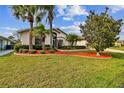 Well-maintained lawn highlights the mature landscaping, palm trees, and inviting entry way to the home at 10416 Moshie Ln, San Antonio, FL 33576