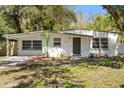 Beautifully renovated single-story home with mature landscaping and a private front entry walkway at 1212 E Crawford St, Tampa, FL 33604