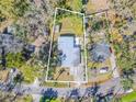 A beautiful home with a large backyard and mature trees in a serene, private setting at 3820 E Lakeshore Dr, Tampa, FL 33604