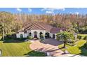 A beautiful home, aerial view showing the surrounding lush trees, and circular driveway at 5204 Avenue La Crosse, Lutz, FL 33558